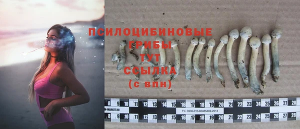 спиды Лиски