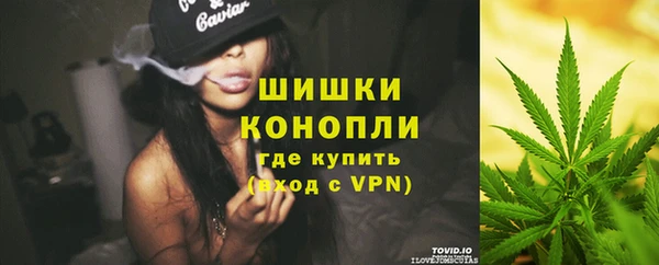 спиды Лиски