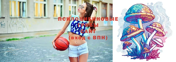 спиды Лиски