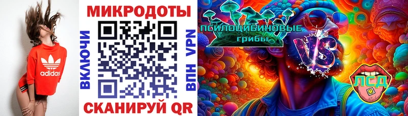 Галлюциногенные грибы Psilocybine cubensis  купить закладку  Фрязино 