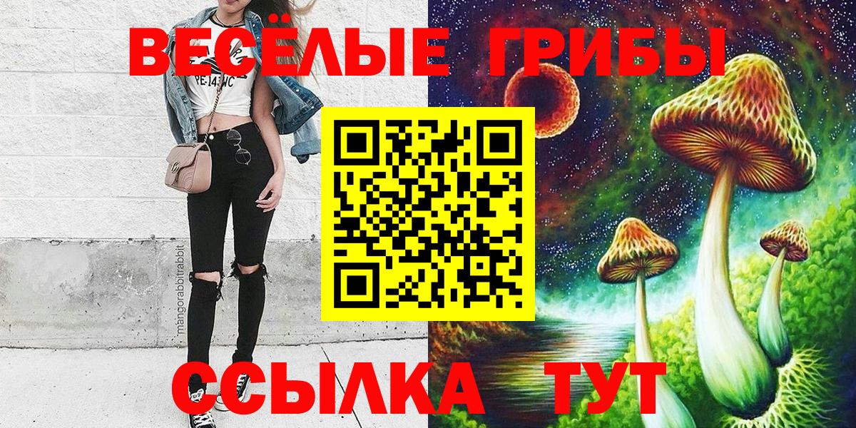 Галлюциногенные грибы Psilocybine cubensis  Вход с VPN  Фрязино 