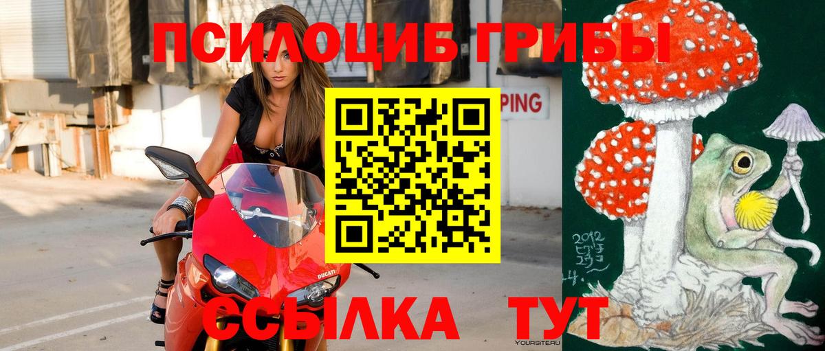 Псилоцибиновые грибы ЛСД  Псилоцибиновые грибы GOLDEN TEACHER  Фрязино 