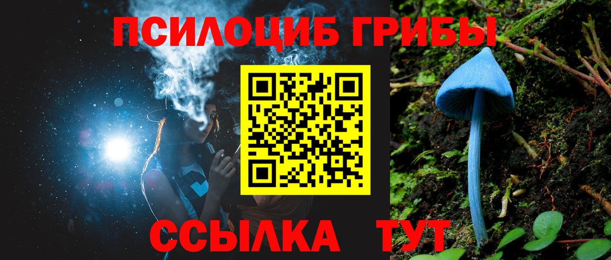 Псилоцибиновые грибы прущие грибы Фрязино